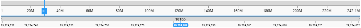 NGB GUI