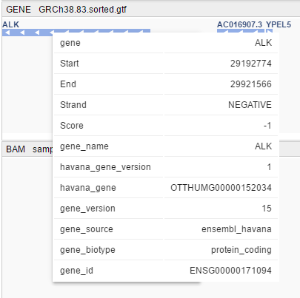 NGB GUI