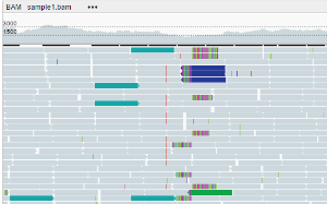 NGB GUI