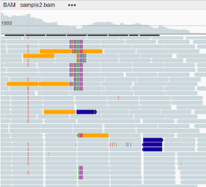 NGB GUI