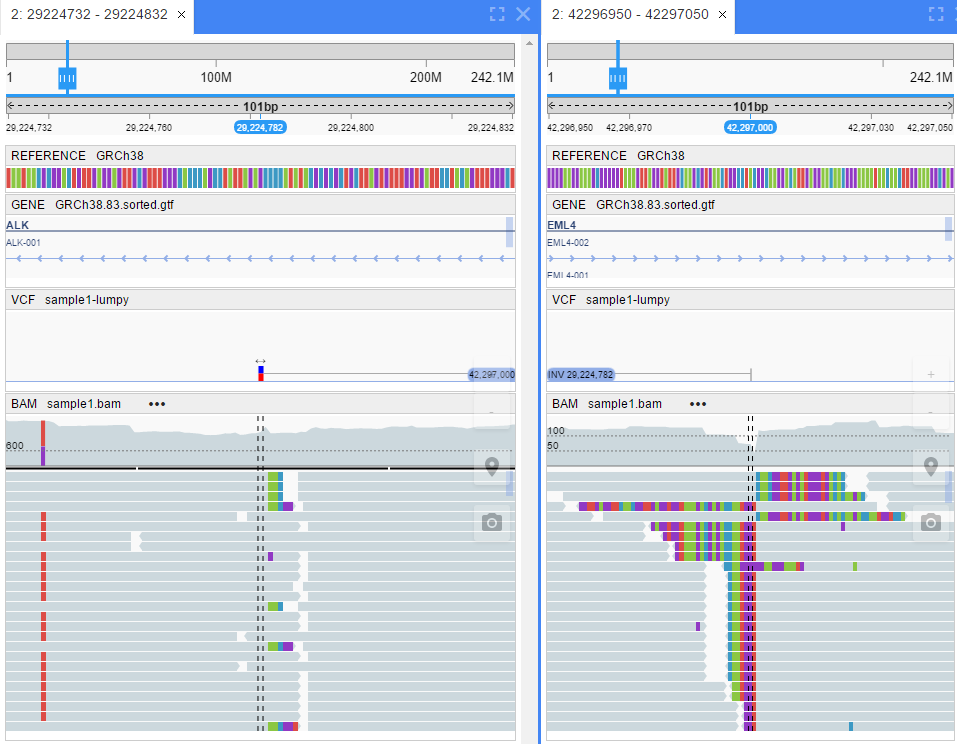 NGB GUI